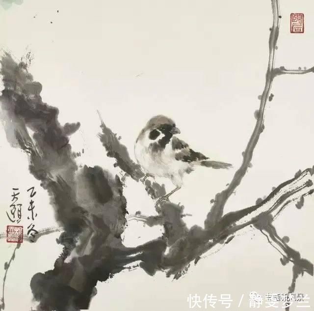 杨善深#岭南派大师杨善深之子的花鸟、山水和人物!