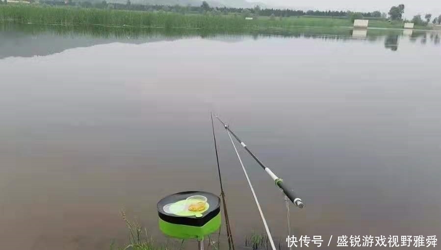 竿子|怪不得鳊鱼比鲫鱼好钓,换用这3招,一根竿子都钓不过来