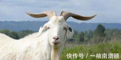 宝宝|孕妇梦到这4件事,是吉兆,预示是男宝宝且大有作为