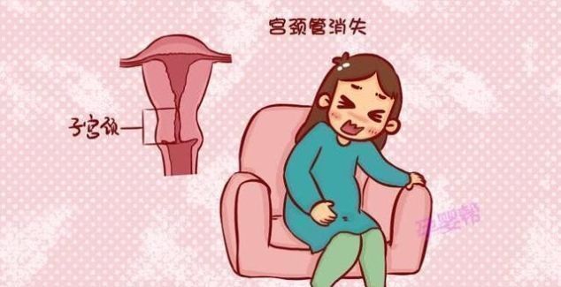 部位|孕妈身体这个部位消失,那就说明快生了,别傻等预产期