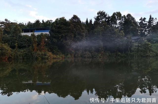 钓友|某些钓鱼人,请你自觉点,这些不齿之事难登大雅之堂,别再丢脸了