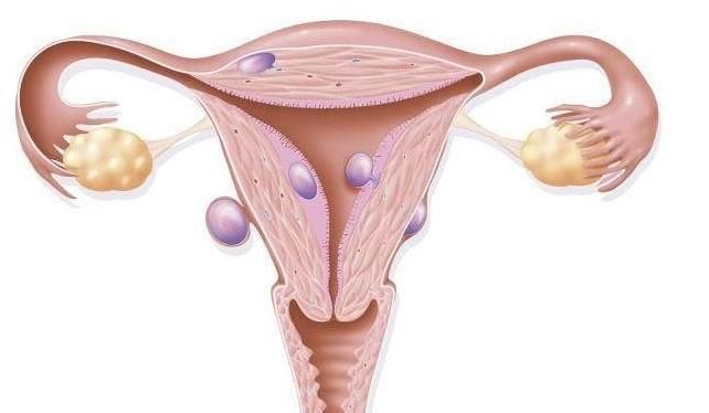 痘痘|子宫好不好看脸,若脸上没有以下5种“信号”恭喜,子宫很健康