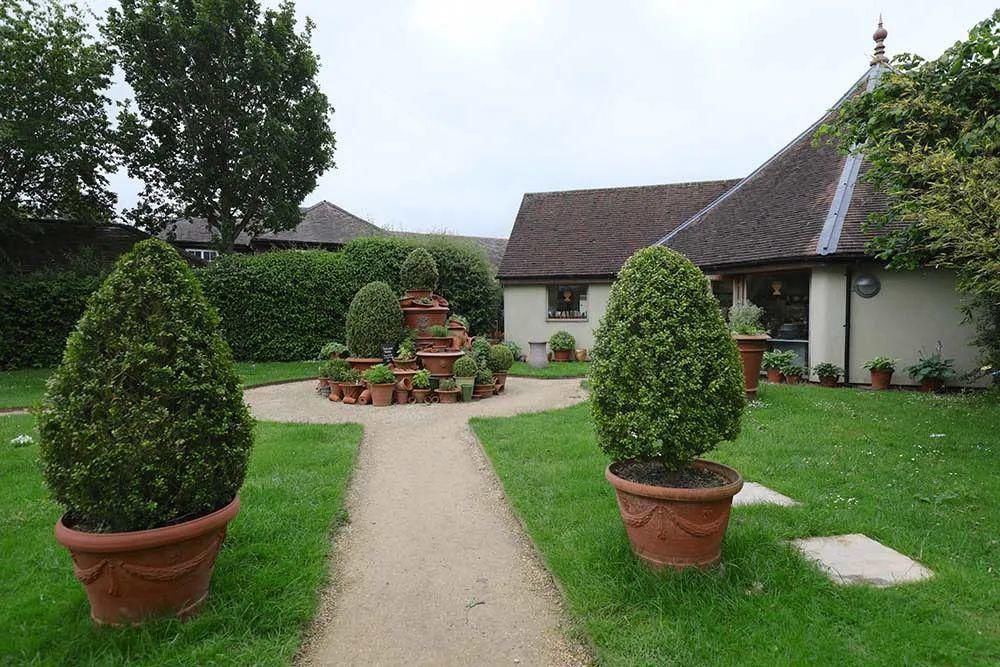  看完这个，想把家里花盆丢了