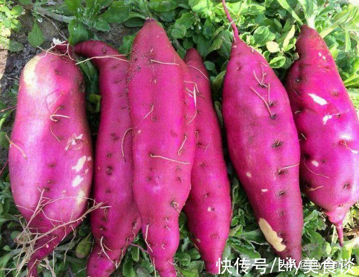 板栗|秋分后,记得多吃“3黄4白”少吃凉,滋补润燥,应季而食安稳度秋