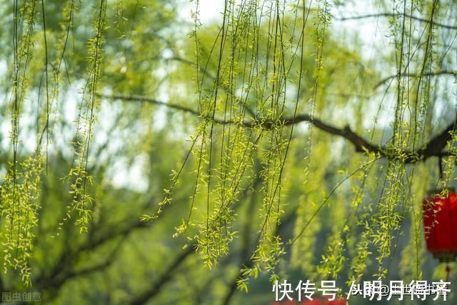 爱情#贺铸虽然人长得丑,但很有才华,一首感人的爱情词,写得情意绵绵