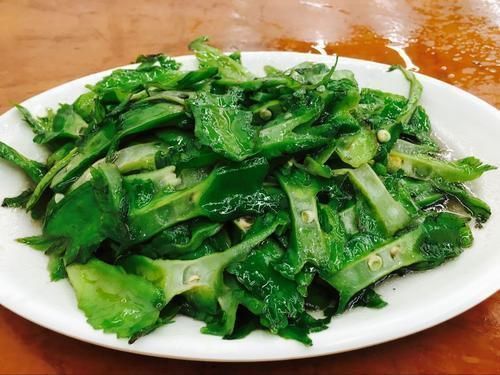 四角|真正补钙的蔬菜就是它，钙质比牛奶还高，补钙质，孩子要常吃