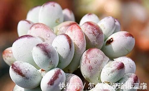 作业永远收不齐，老师想到一个好办法，当场分辨哪些人作业没交