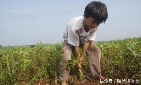 俗语:不看家中宝,只看门前草,是何意?门前草可以看出什么?