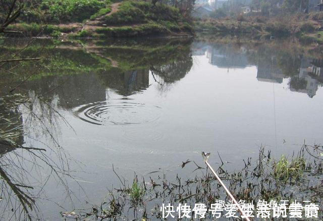 蚯蚓|原来冬季鲫鱼还可这样钓，难怪别人总是上鱼不断，你却空军连连