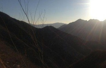 石大壮@故事书生坟地临摹碑文,惹怒黄鼠狼,遭到疯狂报复