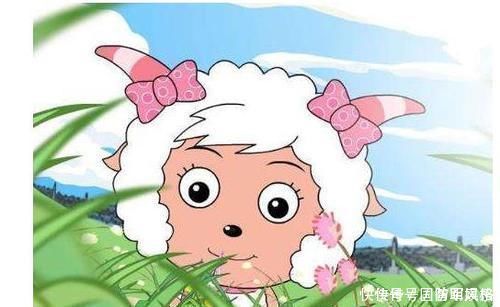知识|10条好玩的冷知识,母绵羊没有犄角,那美羊羊是怎么回事