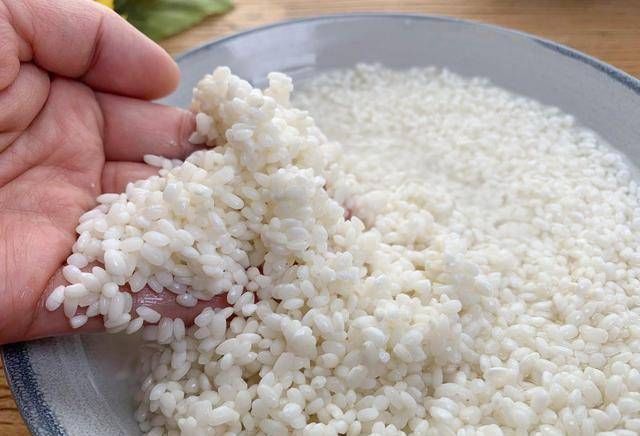 凉糕|糯米别再包粽子了,试试做糯米凉糕,软糯香甜,我家一周吃三次