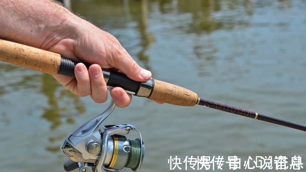 钓鱼人|钓鱼潜规则知多少?这8种大忌不能犯,全做到的算真钓鱼人