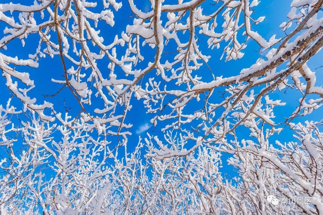  散文|跟随姚鼐的散文《登泰山记》冬览泰山
