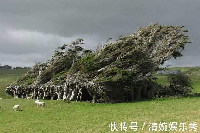 32个冷知识:很少有人知道,但却真实存在着