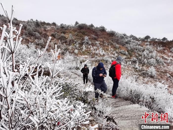 福安|福建宁德世界地质公园现雾凇冰挂 银装素裹引游人