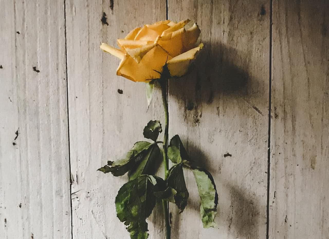 浮躁&做好这六件事,让浮躁的心静下来