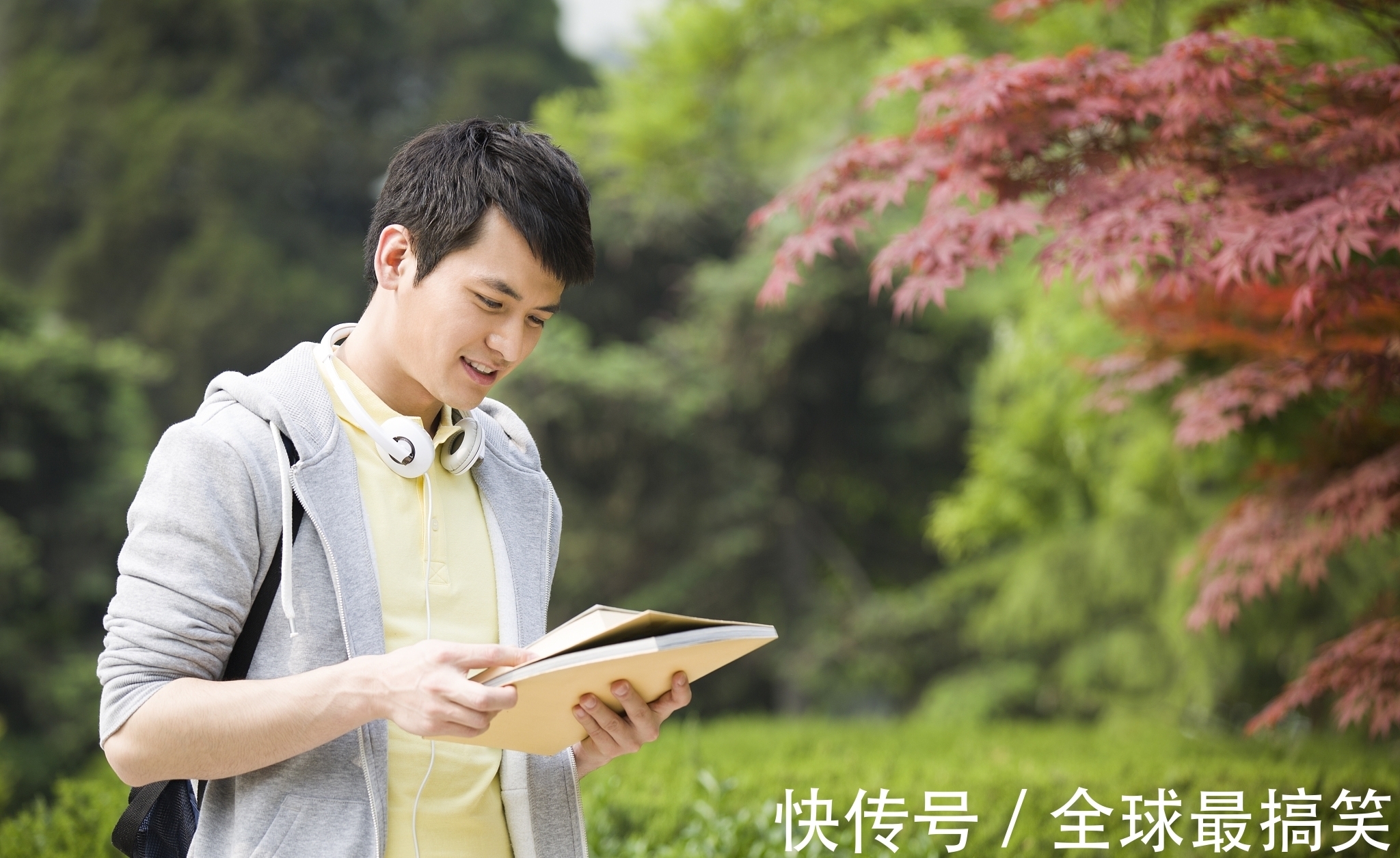 庞凤山#白岩松:读书,就是为读书而读书