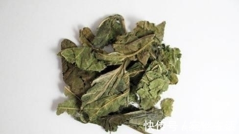 中药学|请注意,如果家有桑树,“此时”请采收2种药材,错过了很可惜