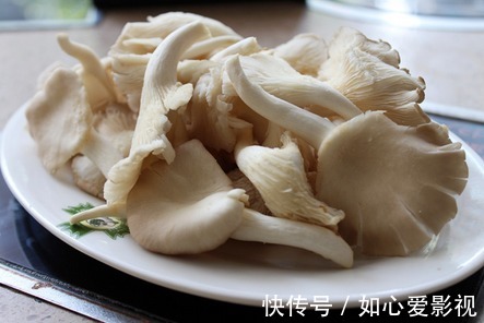 平菇|餐桌上的“天然抗生素”,杀菌消炎,健胃降脂,提高免疫力