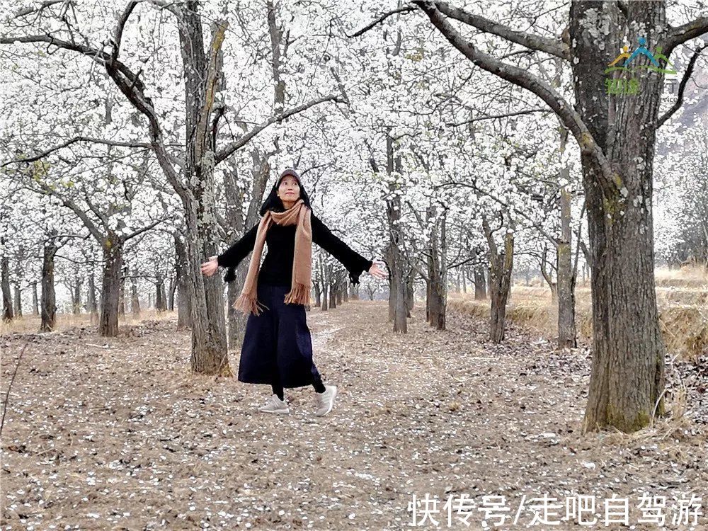 神仙包|春天第一站就去这里！醉春天之川西花海、雪山、冰湖七天之旅