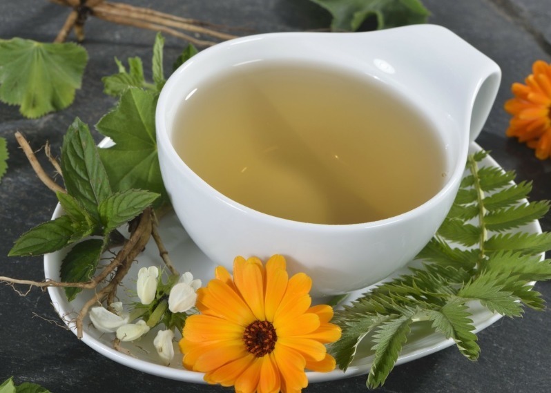 咽喉炎|一种野草全身可入药，泡一泡，口臭、牙炎、咽喉炎统统不见！