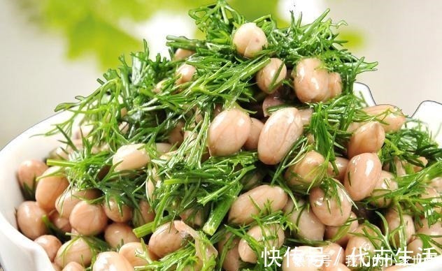 驱寒|胃不好别担心，冬季多吃这菜，健胃养胃又驱寒，胃暖暖的！