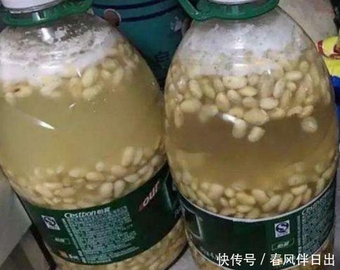 黄豆肥|君子兰离不开2种水,1年换着浇,冒白根、开花多