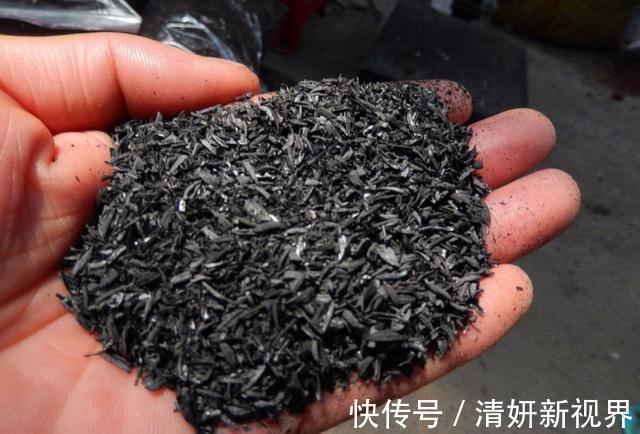 天冷后，吊兰、绿萝埋3种免费东西，再冷也能长成绿窗帘