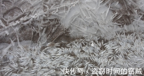 俄罗斯|冬季俄罗斯小哥在结冰湖面凿了个大洞，结果水面堆满了数千条鱼！