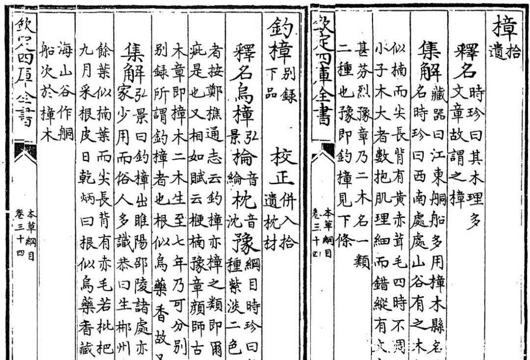 中-豫卦:上六爻“冥豫,成有渝,无咎”解析;君政讼平,豫章常为生