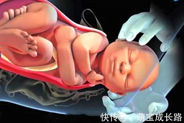 动物|为什么动物生育后代那么轻松,人类分娩时却疼得撕心裂肺?