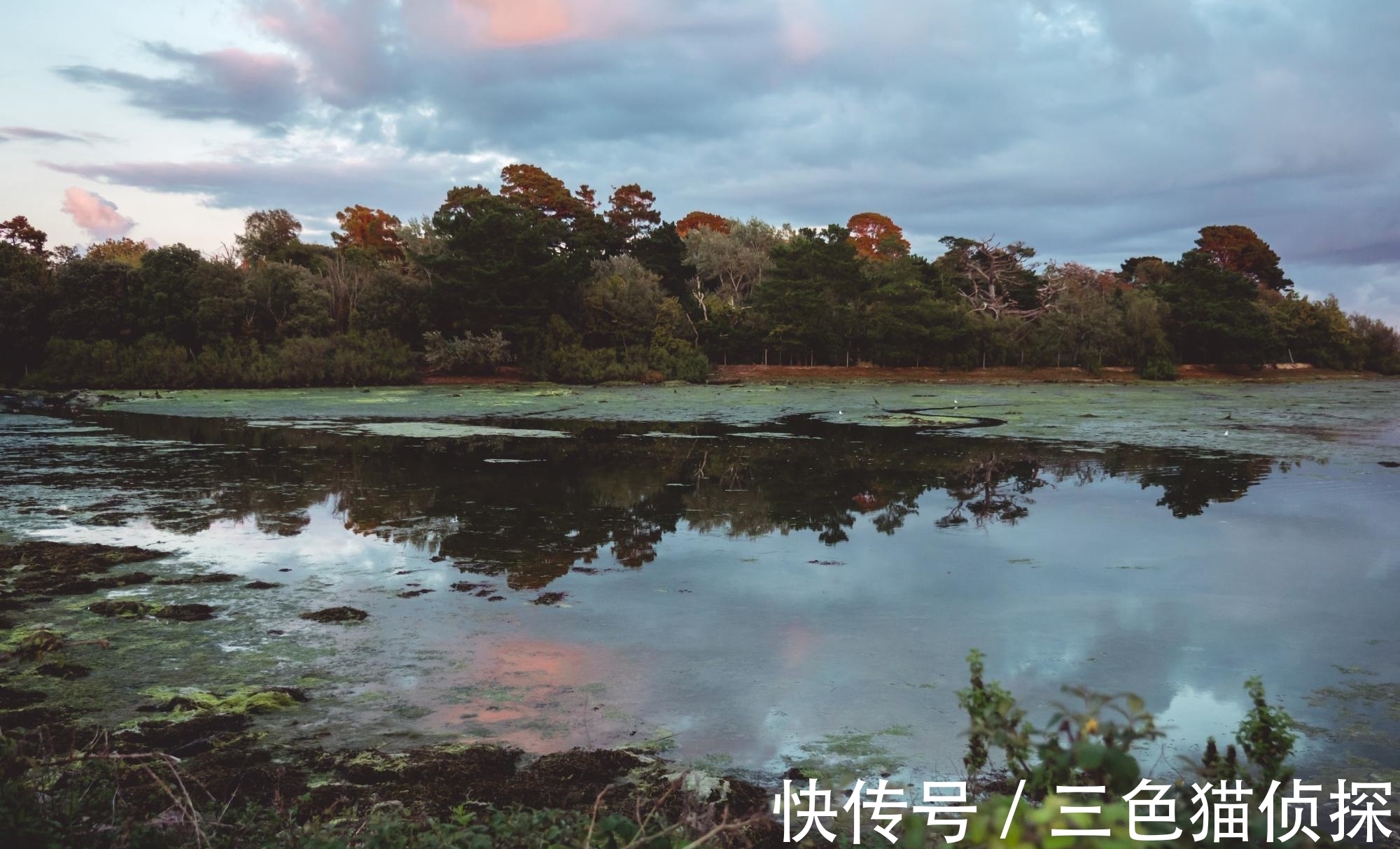 魂魄@李商隐凭吊屈原的一首诗,只短短4句,读来惆怅悲切,感慨万分