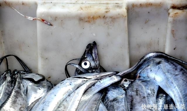 吃海鲜|吃本地海鲜最佳的地方,价格超级实惠品种多,几块钱一斤就能买到