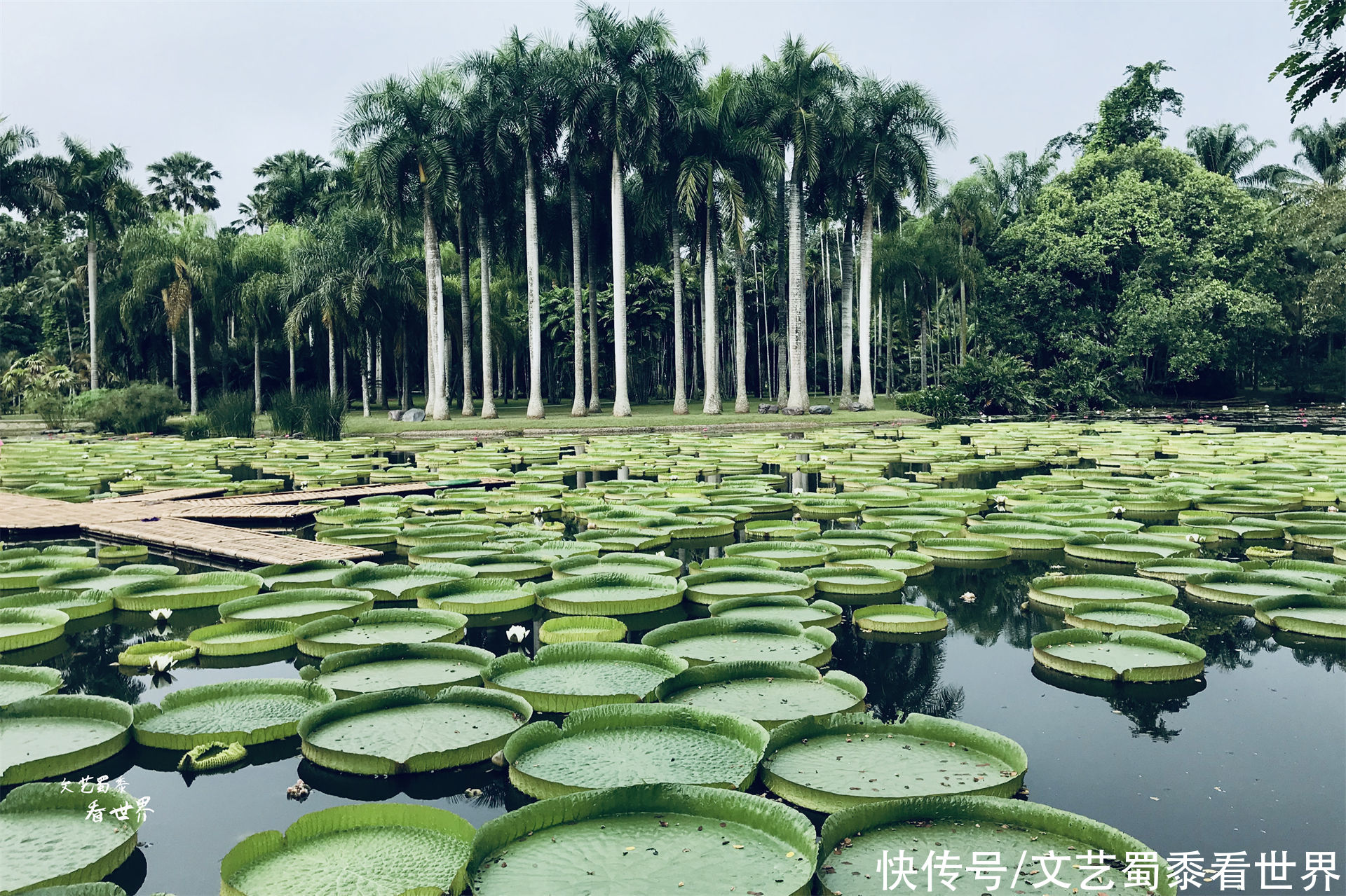 桂林山水|国内最适合中老年人旅行的30个景点，去过15个证明您依然充满活力