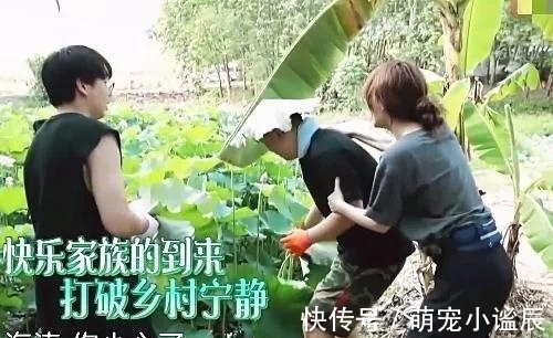 黃磊|向往的生活：最囂張一組嘉賓，嫌黃磊泡茶難喝，故意偷懶不干活，但無人敢說！