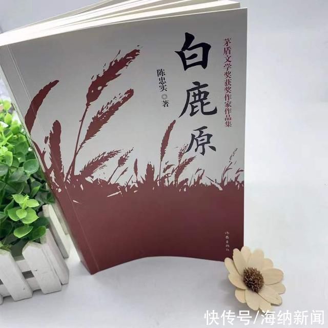 白鹿原&《白鹿原》中敢爱敢恨的田小娥:她的悲剧，提醒女人要自强