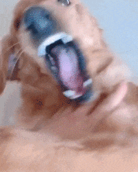 |搞笑GIF:日防夜防闺蜜难防