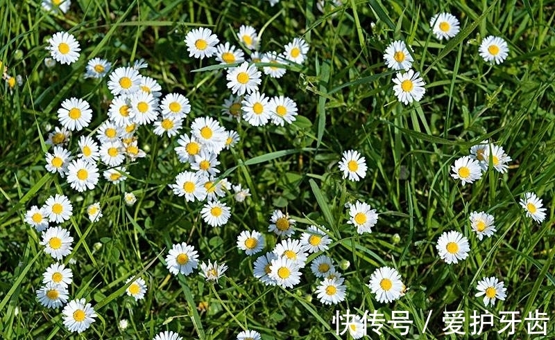 妻子|一个女人要有多绝望,才会去做试管婴儿