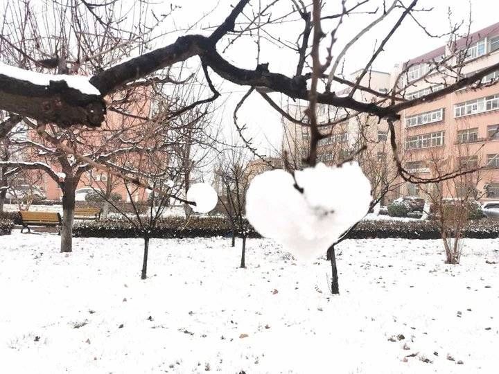 泉城赏雪|五律?泉城赏雪