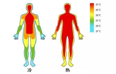 冬天|为啥你冬天手脚易冰凉！!这篇漫画说明白了...