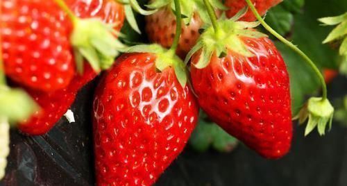 肝病|伤害肝脏“特别猛”的4种行为,尤其第2种,是很多男生的“最爱”