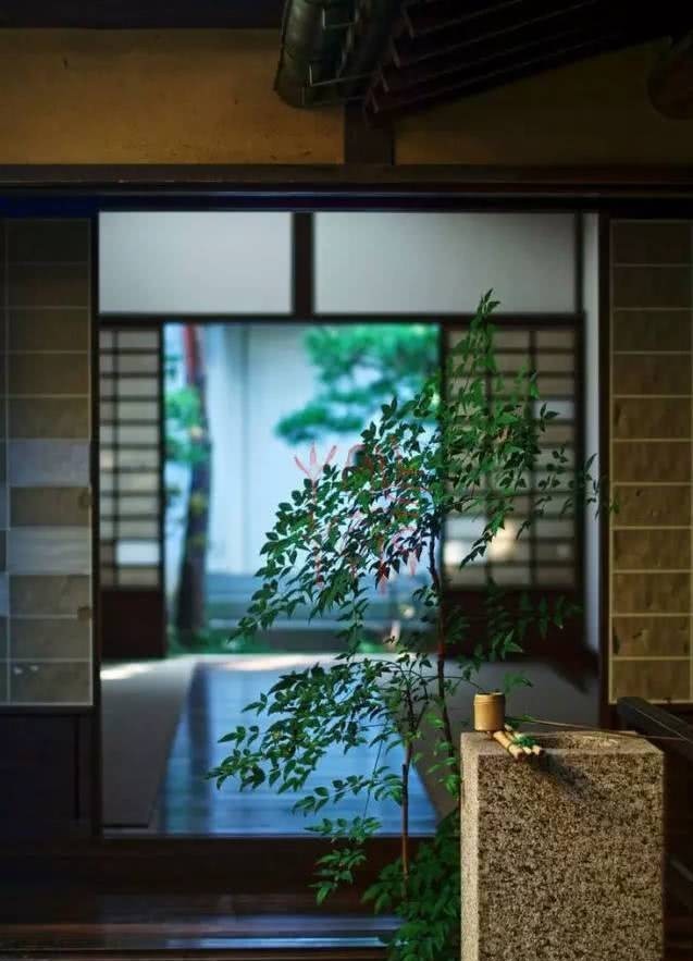 庭院|愿得一庭院,只用来喝茶