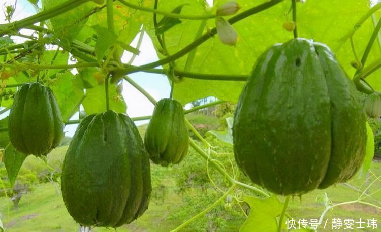 食物|女性不要太节俭，多吃3种食物，养颜美肤抗衰老，养出好气色