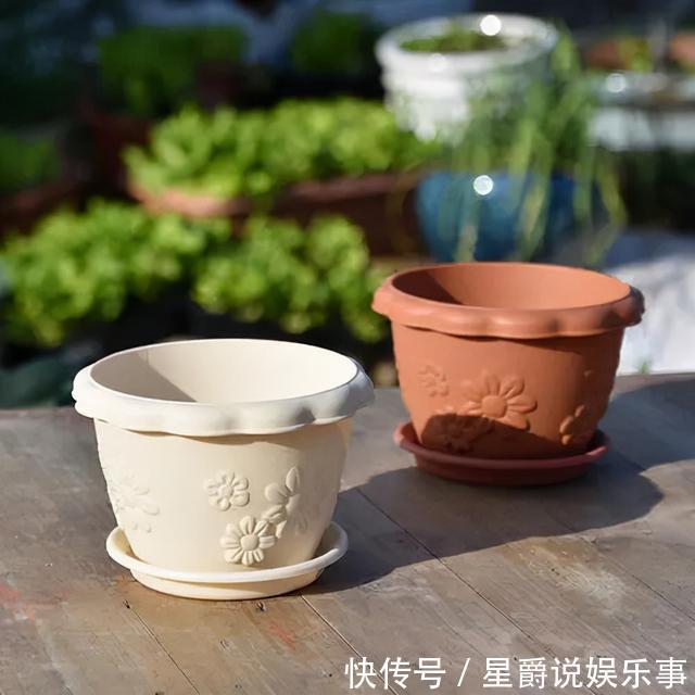 花草|6种花盆,不适合养花,难怪长势不好,扔了吧