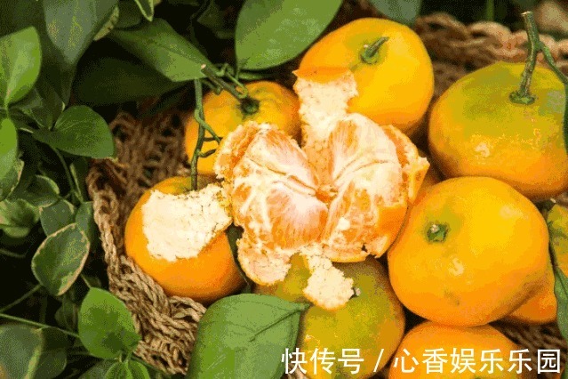 痰热咳喘|3种水果蒸着吃,比生吃效果好!现在知道还不晚