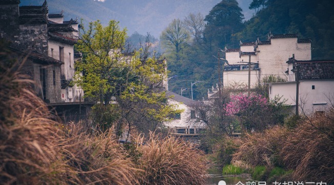 农村俗语:“屋后有靠生万福,田边有靠苦农夫”,有道理吗?