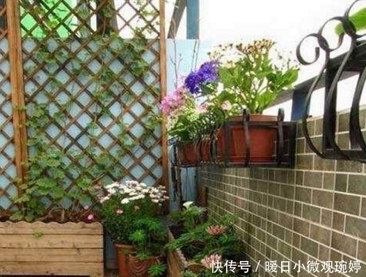 头一次见阳台上面还能这样养花，几平米空间变花园，太聪明了