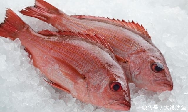 烹饪|6种湖河海鲜，简单烹饪即可尝鲜，你可能全听过，但不一定全吃过