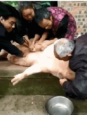 |搞笑GIF趣图小朋友，你们在玩什么游戏呢！